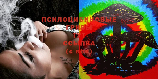 дживик Алексин
