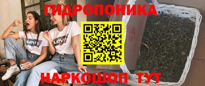 твердый Будённовск