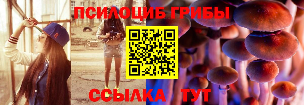 Галлюциногенные грибы MAGIC MUSHROOMS Дедовск