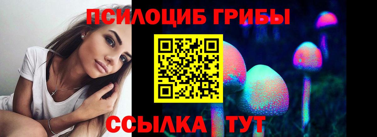 Галлюциногенные грибы Psilocybine cubensis  Вход с VPN  Дедовск  Псилоцибиновые грибы Psilocybine cubensis 